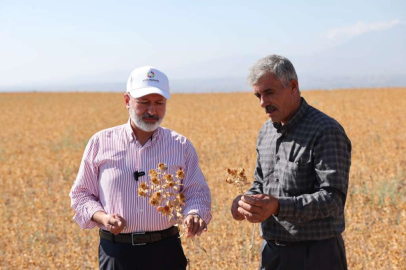 Kayseri Kocasinan'da tarımda farkını gösteriyor